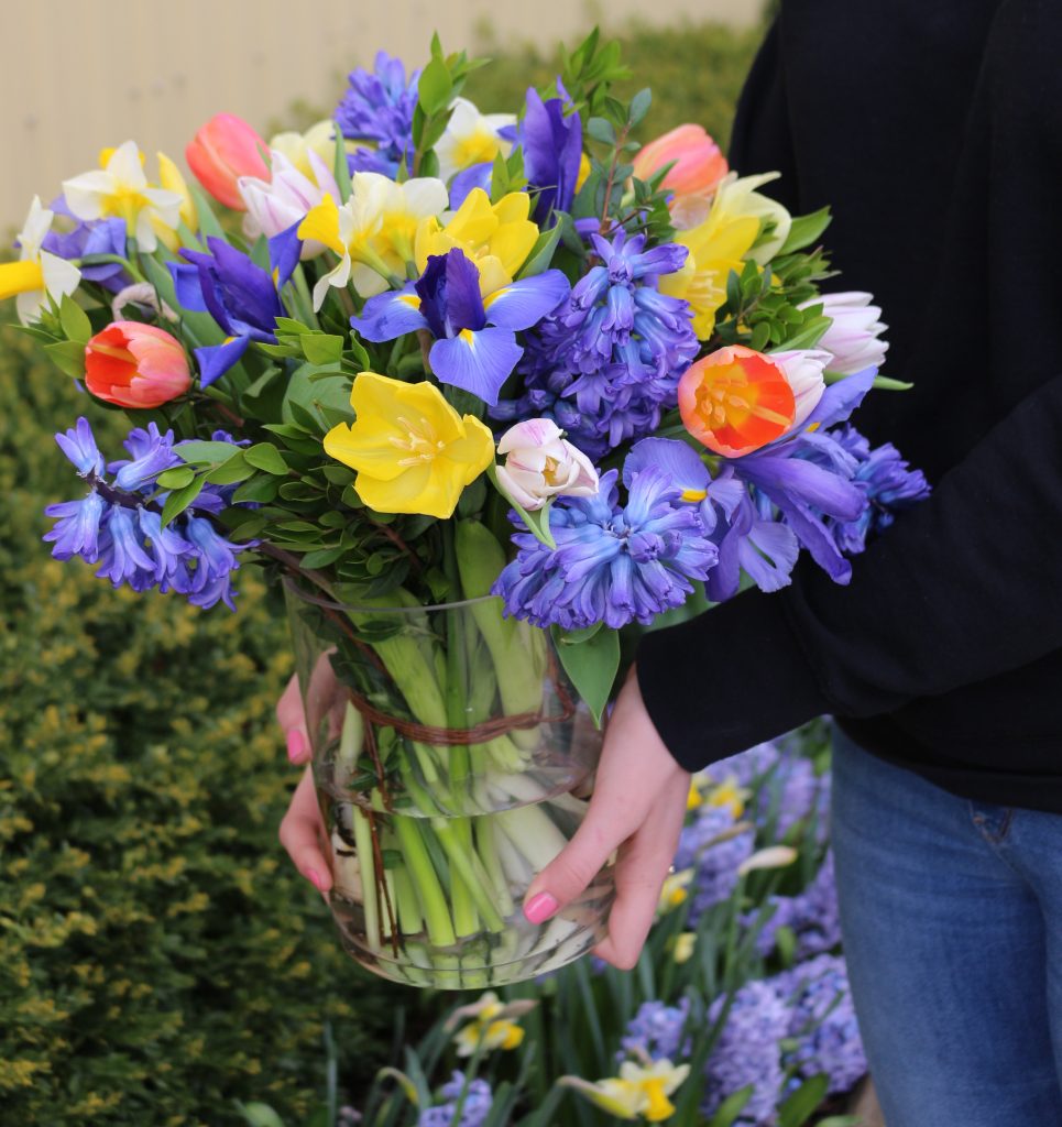 Spring Bulb Collection